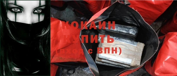 хмурый Алзамай