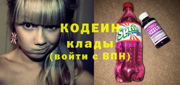 хмурый Алзамай