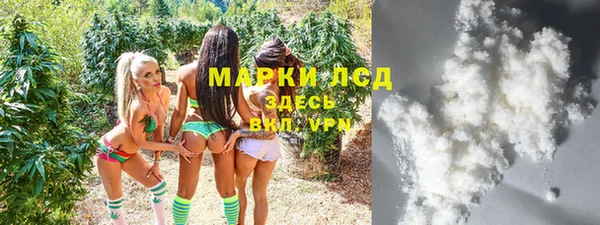 хмурый Алзамай