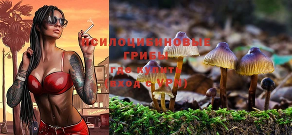 хмурый Алзамай