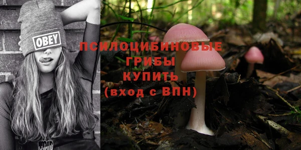 хмурый Алзамай