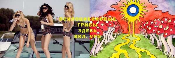 бошки Алексеевка