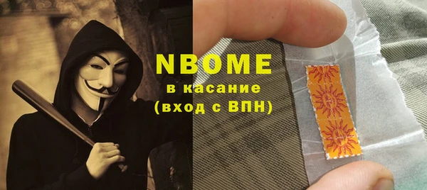 хмурый Алзамай