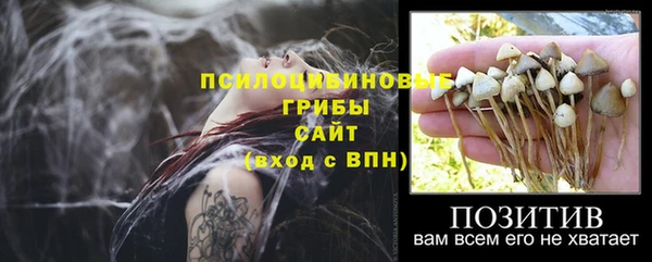 хмурый Алзамай