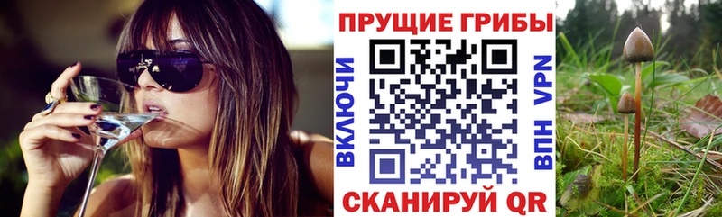 Псилоцибиновые грибы GOLDEN TEACHER сайты даркнета как зайти Кола hydra
